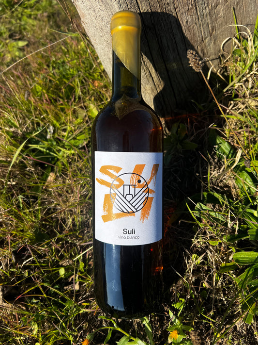 Sulì - vino orange