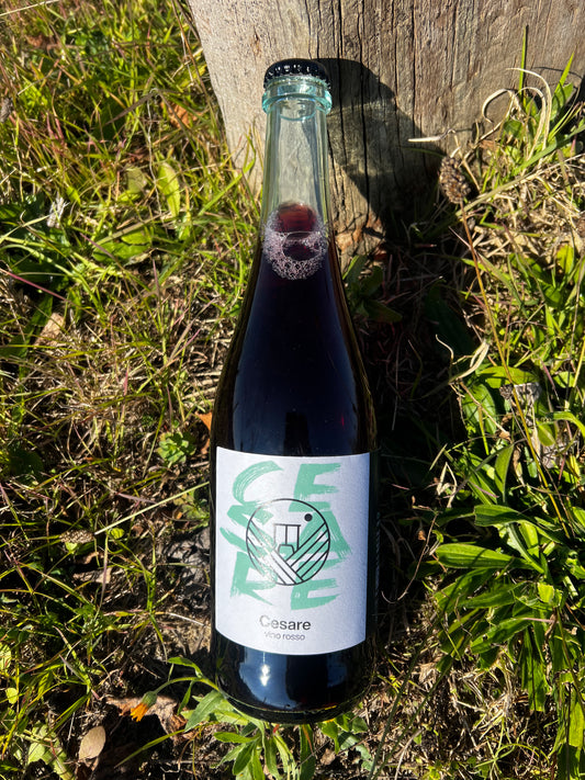 Cesare - vino rosso